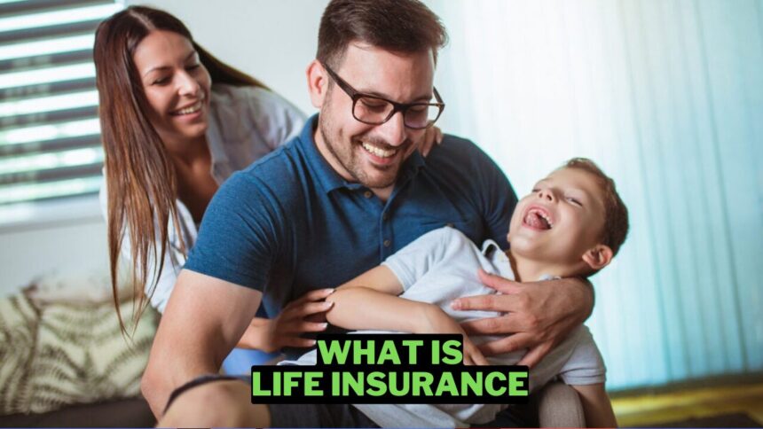 What Is Life Insurance And How Does It Work Wowkia