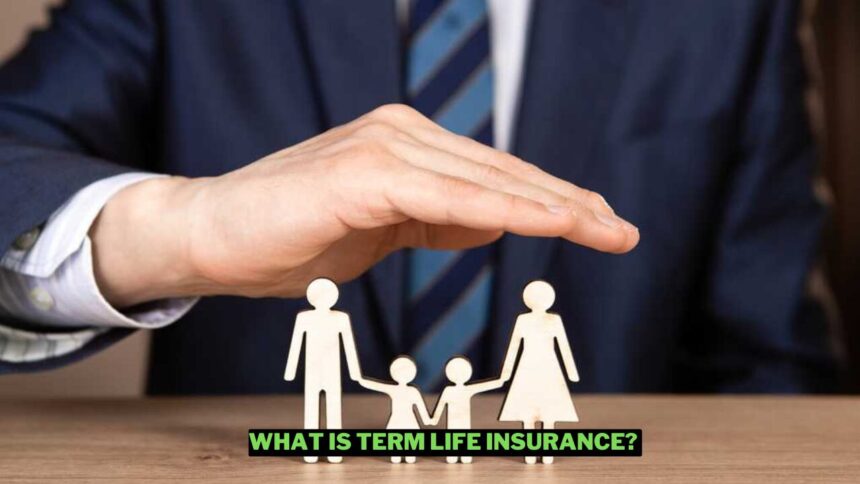 What Is Term Life Insurance Wowkia Finance